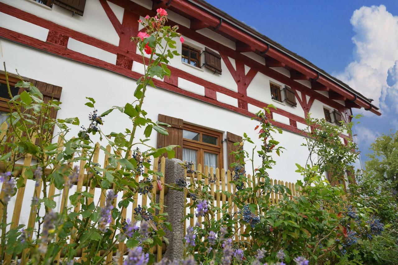 Jurahaus Hirschberg Apartment Beilngries Bagian luar foto